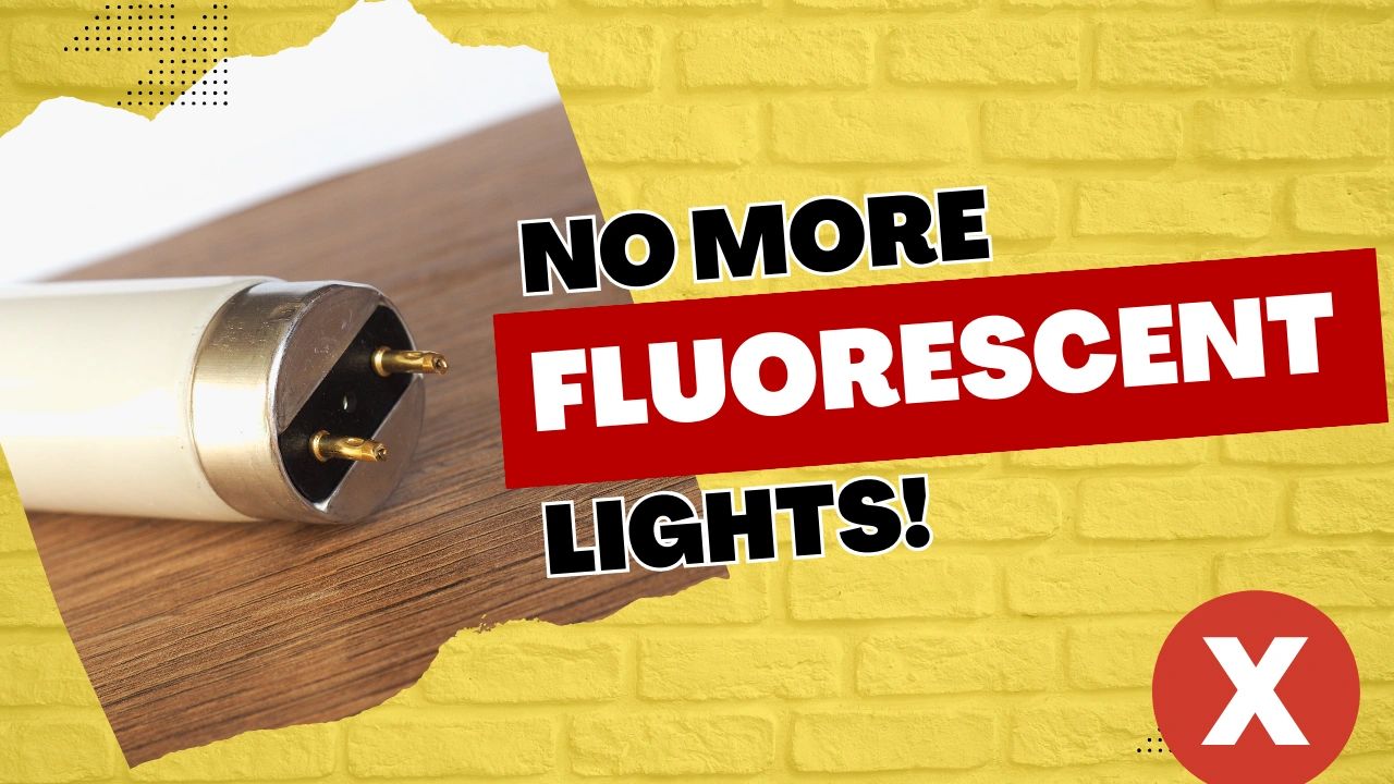 Ban on Fluorescent Lights 2023 All you need to know!
